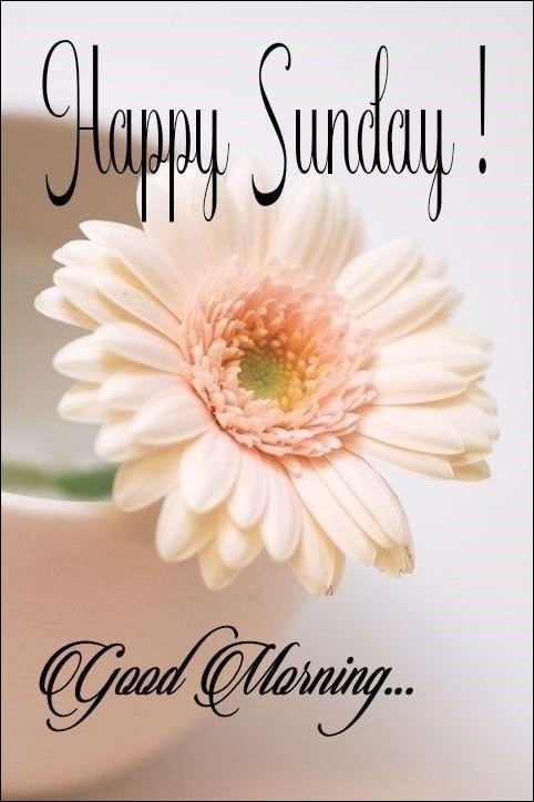 beautiful happy sunday images 12