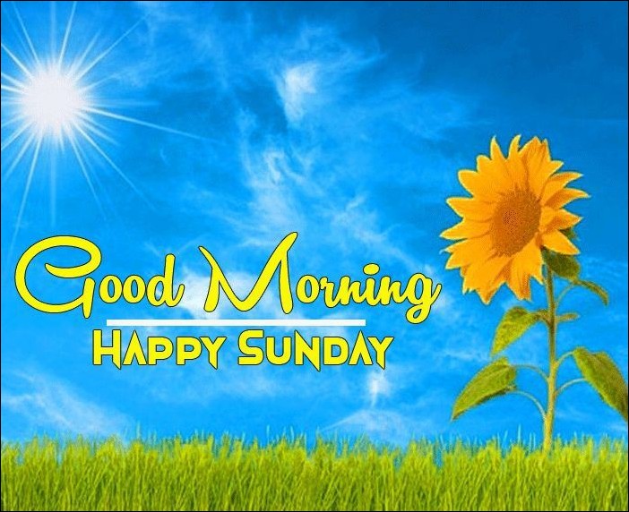 beautiful happy sunday images 17