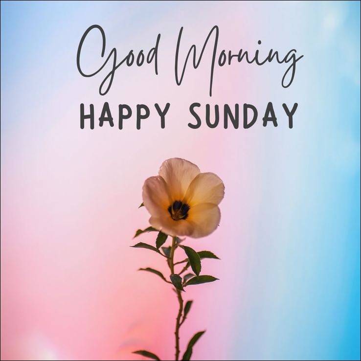 beautiful happy sunday images 2 1