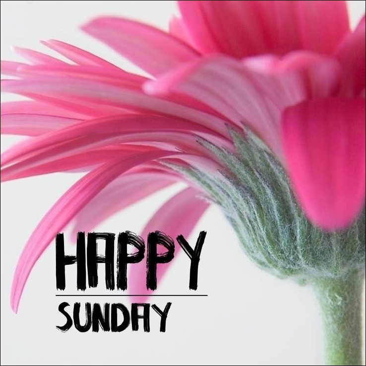 beautiful happy sunday images 6