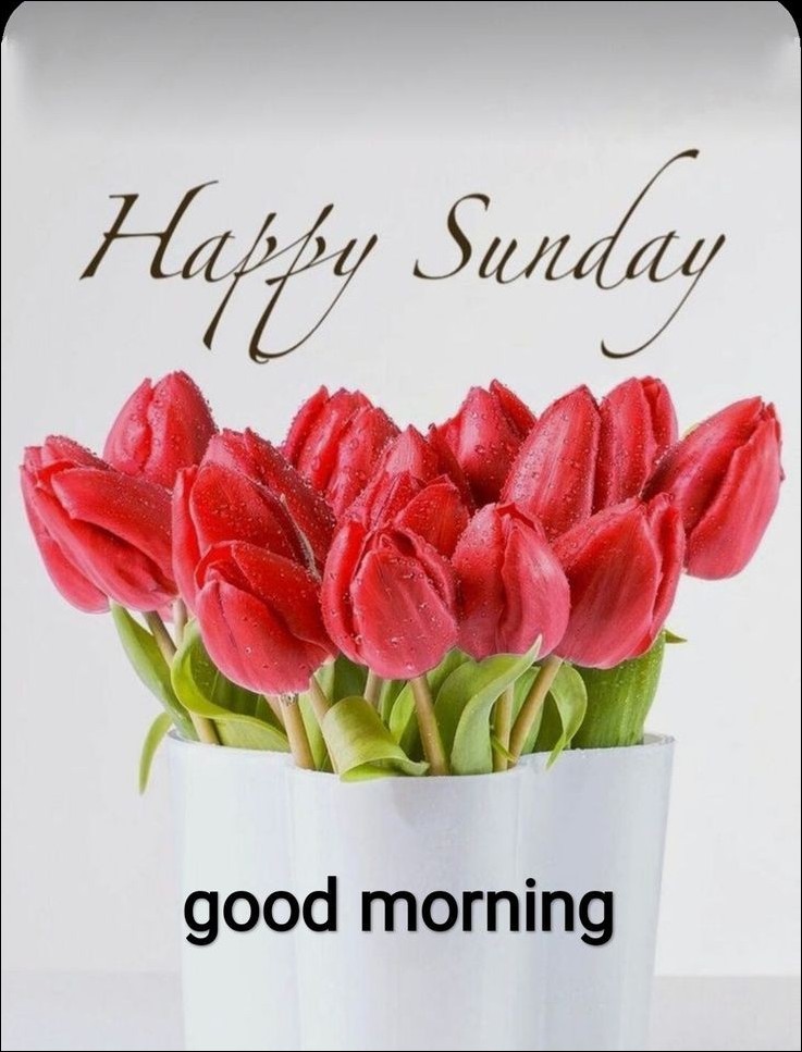 good morning happy sunday images 12