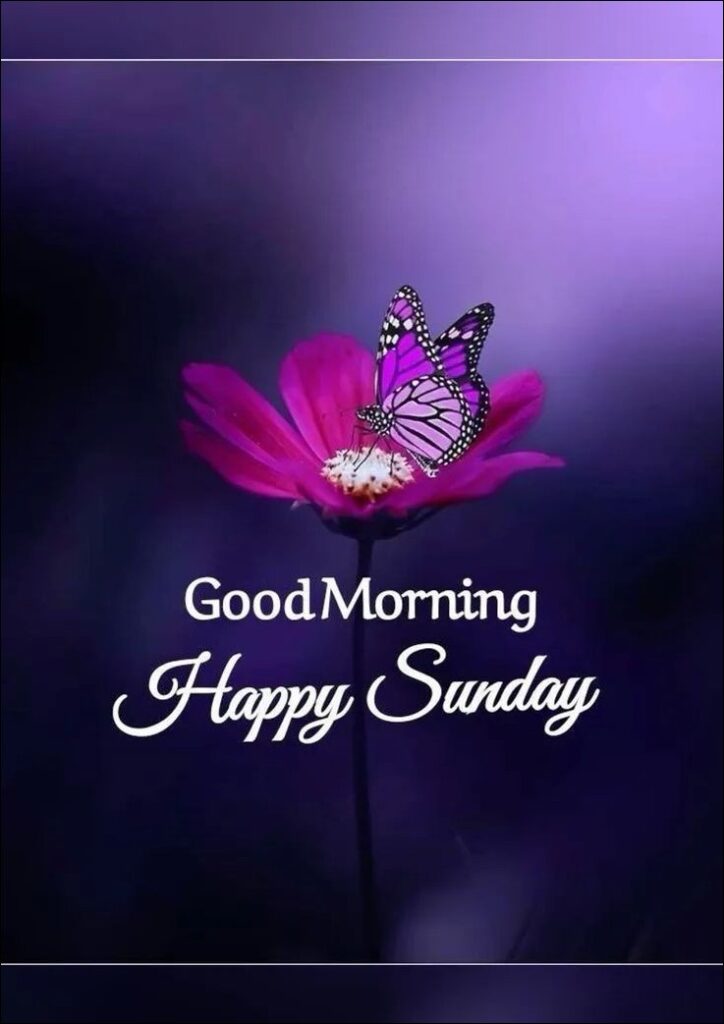 good morning happy sunday images 13