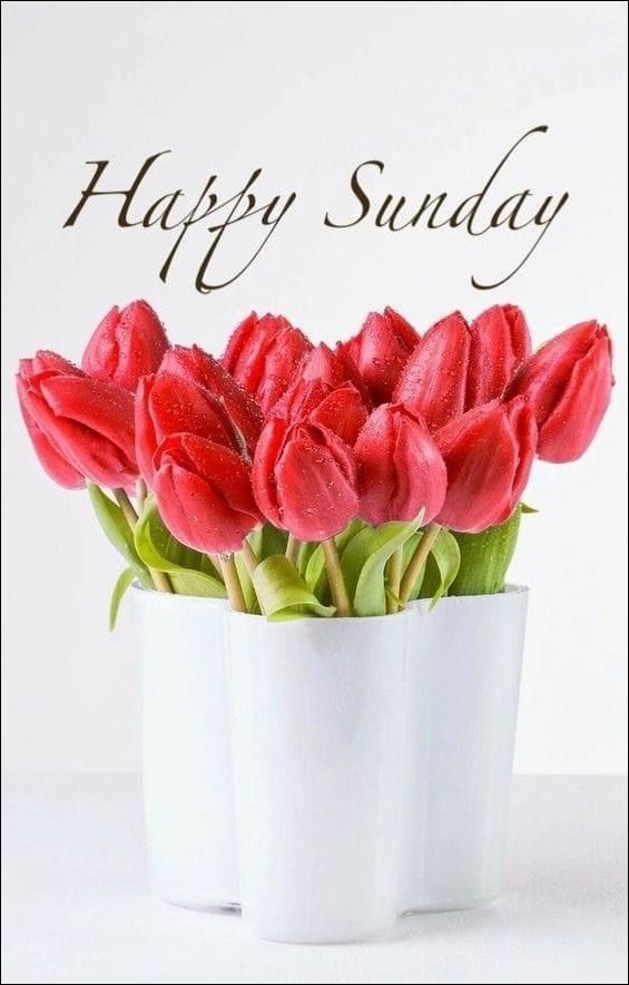 happy sunday images for whatsapp 12