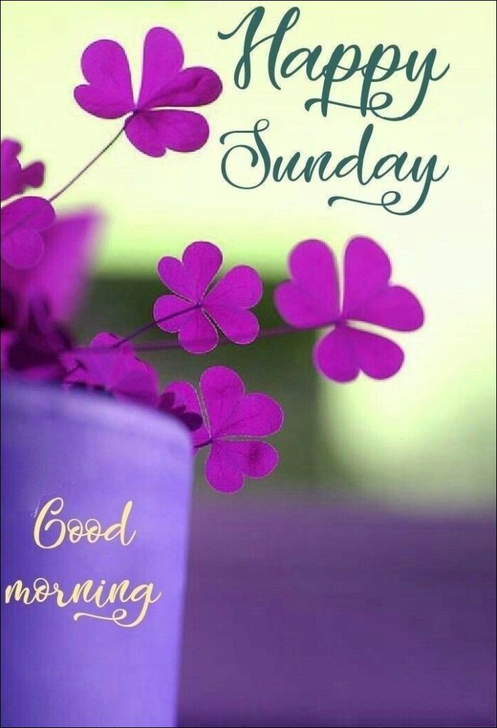 happy sunday images for whatsapp 13