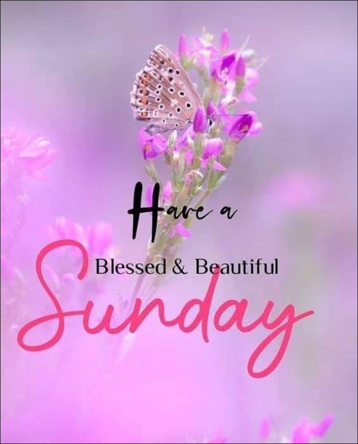 happy sunday images for whatsapp 3 1