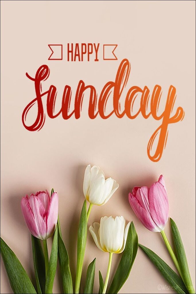 happy sunday images for whatsapp 5