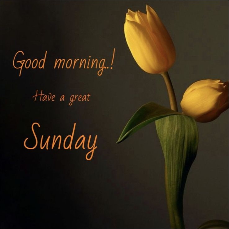 happy sunday images hd