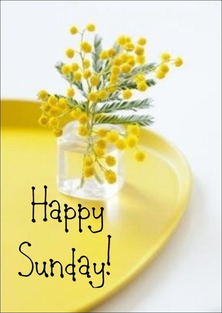 happy sunday images hd 13