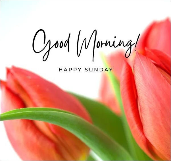 happy sunday images hd 18