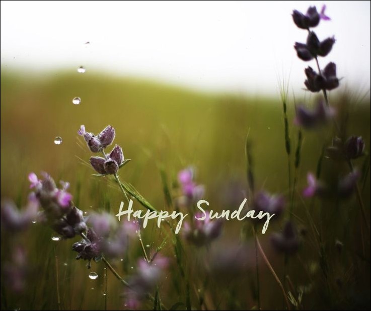 happy sunday images 15