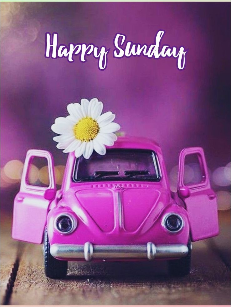 happy sunday images 16 1