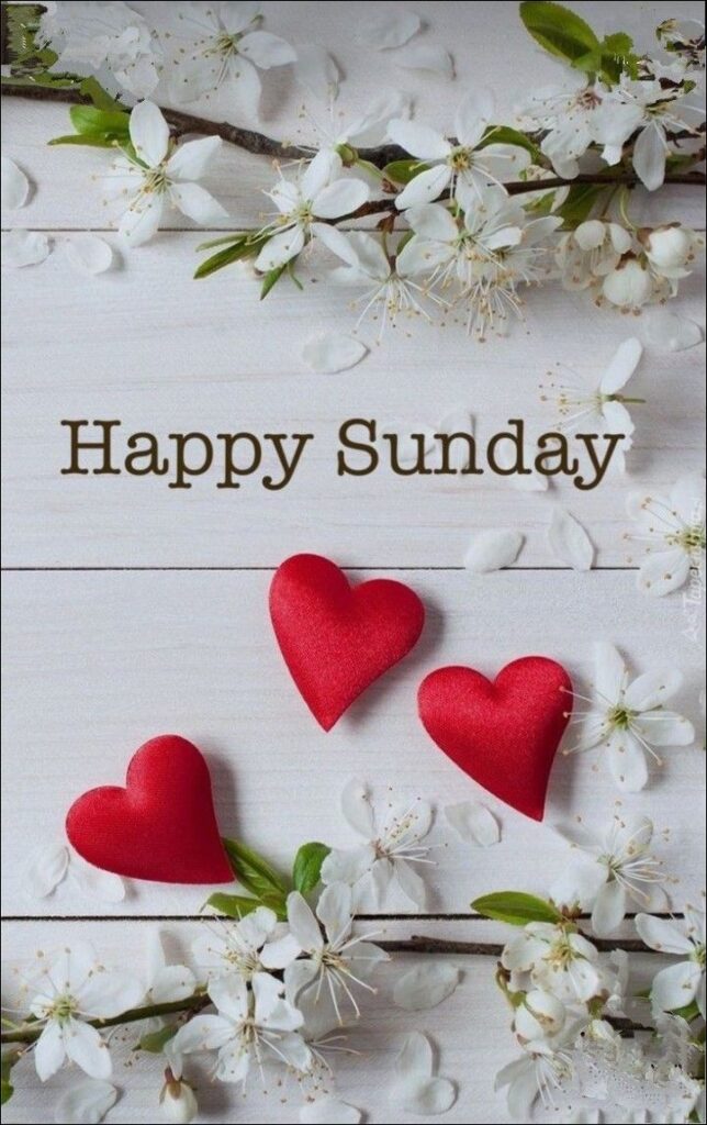 happy sunday images 18