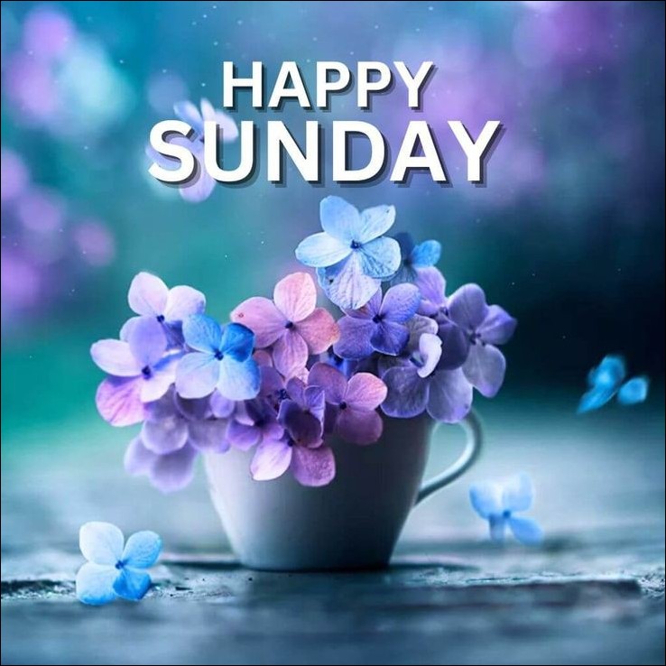 happy sunday images 4