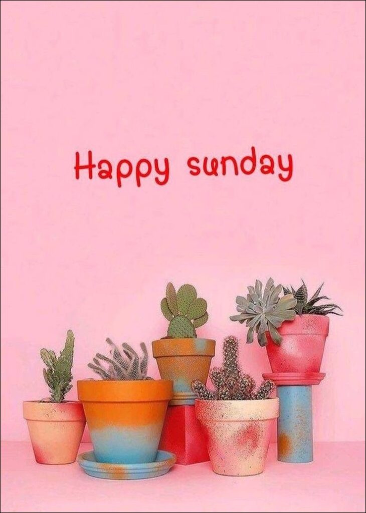 happy sunday images 7